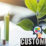 custom-software-infomuse-blog