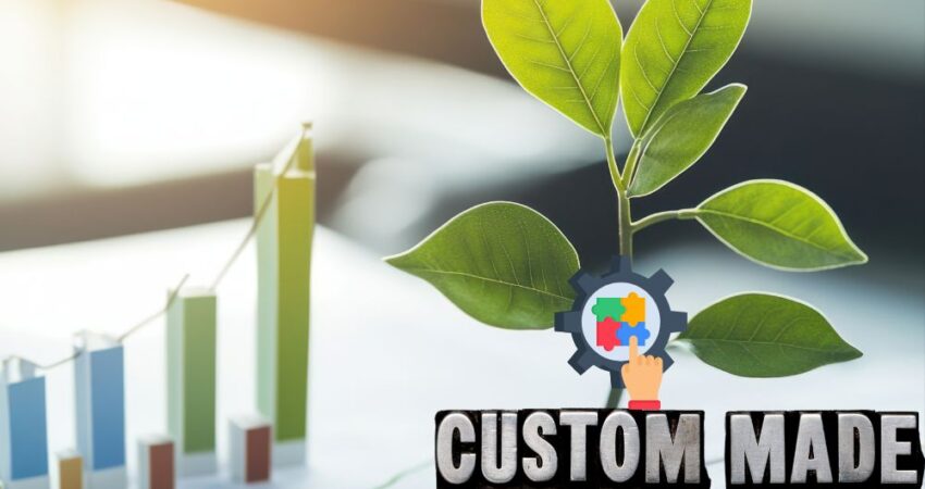 custom-software-infomuse-blog